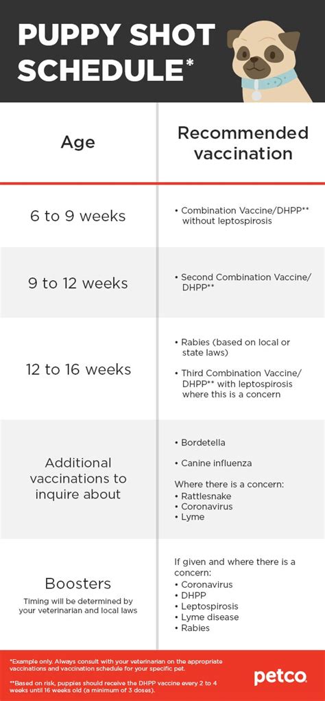 Vaccination packages & prices. Select your state to see pricing specific to your location: Book an Appointment. VETCO offers Affordable Pet Vaccination Packages & Prices for …